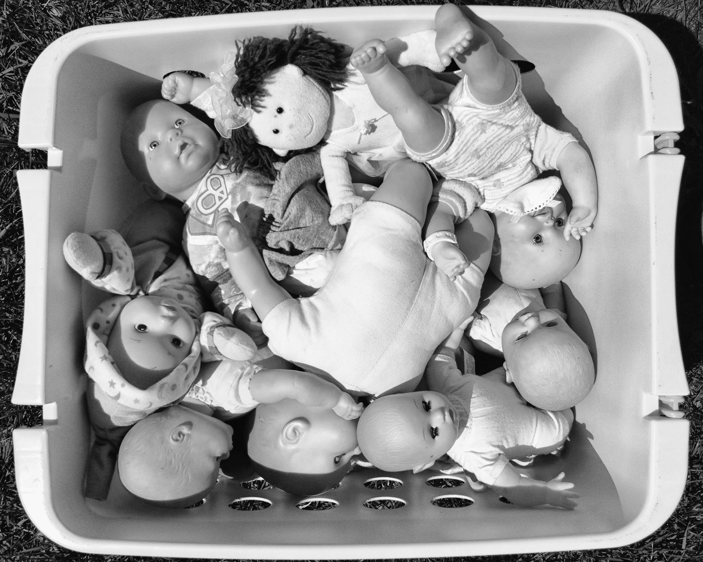 BASKET_OF_BABIES_7549