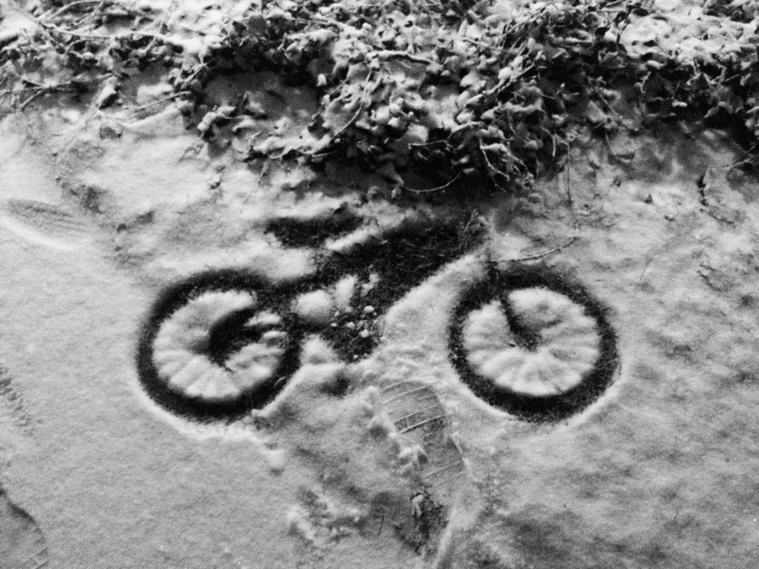 BIKEINSNOW_0233-2