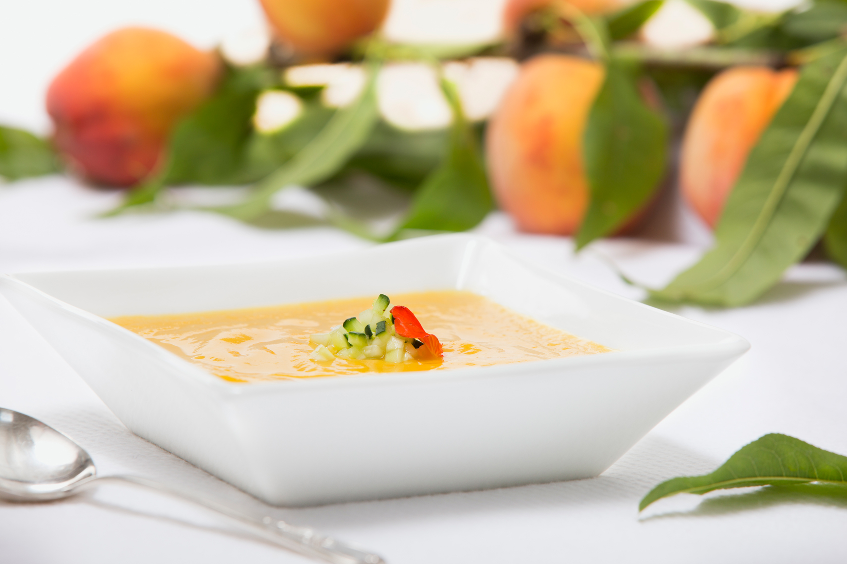 PEACH_SOUP_JJ5A0639